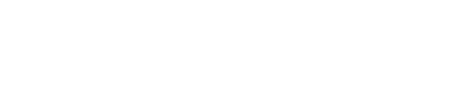 Build Options